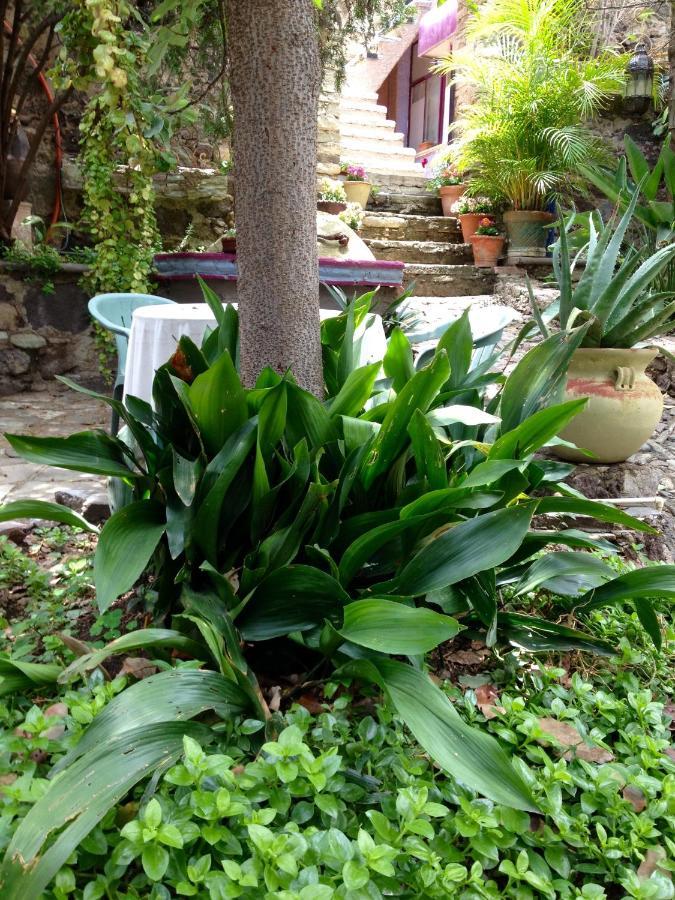 Apartament Ex Hacienda Guanajuato Zewnętrze zdjęcie