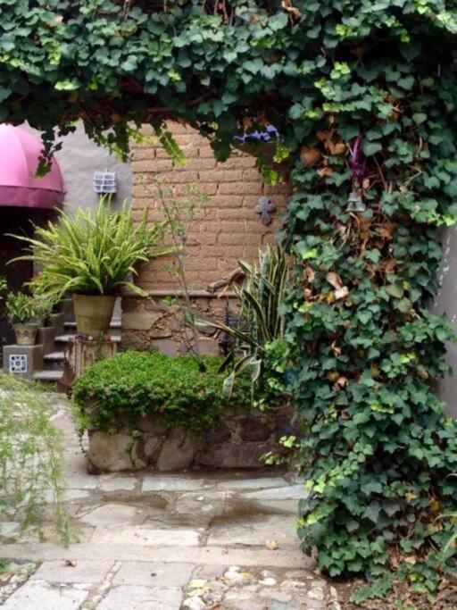 Apartament Ex Hacienda Guanajuato Zewnętrze zdjęcie